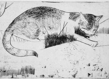 Cat Etching by George McCullough, Self portiat - George, etching - Phoebe, 1955, 7 x 12, The first etching that George sold, George McCullough was a renowned artist and art teacher who lived in New York City and later moved to California and to Fort Wayne, Indiana